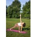 Коврик для йоги и фитнеса PowerPlay 4010 PVC Yoga Mat Розовый (173x61x0.6)