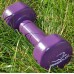 Гантели виниловые PowerPlay 4125 Achilles 2*2.5 кг. Фиолетовые (пара – 2шт.)