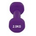 Гантель виниловый PowerPlay 4125 Achilles 2.5 кг. Фиолетовая (1шт.)