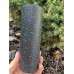 Массажный ролик (роллер) гладкий PowerPlay PP-4346 Mini EPP Foam Roller Черно/Синий (15x5,3см.)