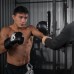 Палки для бокса (лападаны тренерские) Phantom Boxing Sticks