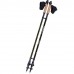 Палки для скандинавской ходьбы PowerPlay 9105 Sisu Black/Gold 80-135 см (пара)