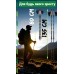 Палки для скандинавской ходьбы PowerPlay 9104 Lykke 80-135 см Black/Green (пара)