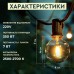 Уличная гирлянда лампочки GarlandoPro гирлянда уличная ретро светодиодная 1733073Y G40 20LED 10m